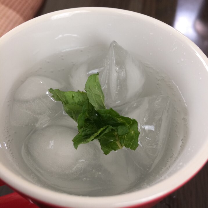 塩焼酎モヒート